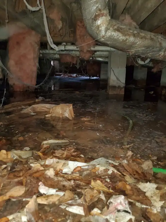 Crawl space flood assessment for Commercial Water Damage Restoration in Victoria