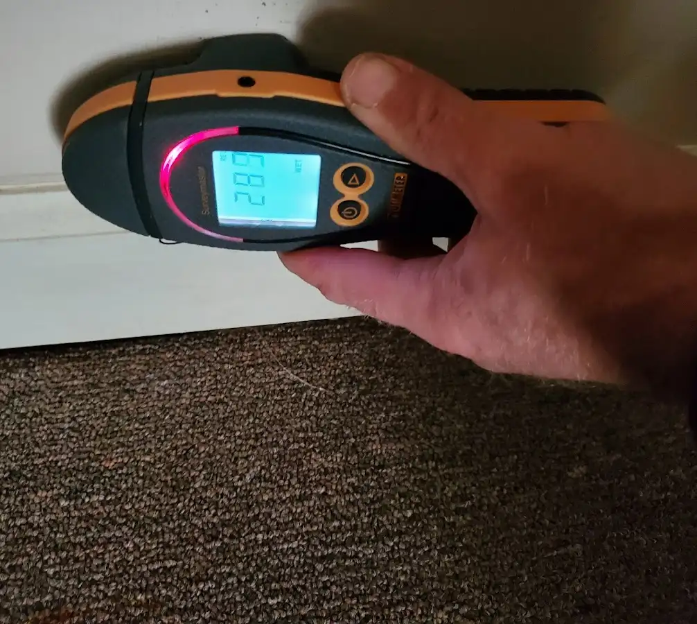 Moisture detection at baseboard during Sewage Cleanup & Sanitation in Victoria